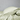JB-SSBO-SAGK_1.jpg